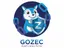 goZec icon