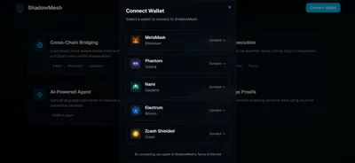 ShadowMesh screenshot 3